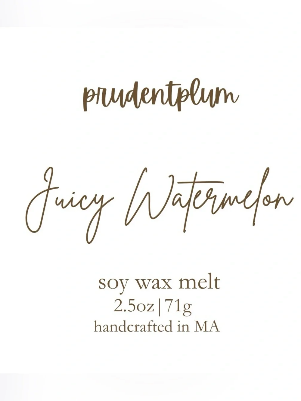 Juicy Watermelon Soy Wax Melt 2.5 oz | Melts For Wax Warmer Clamshell